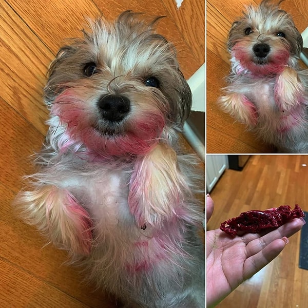 10. "Я не видел твоей помады"