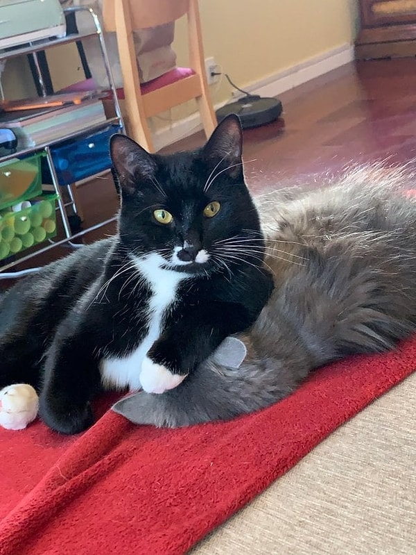 15. "Нет, я ее не видел с утра"