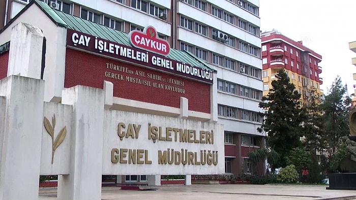 Geçen Seneyi Üçe Katladı! ÇAYKUR, 1 Yılda 657 Milyon TL Zararla Rekor Kırdı