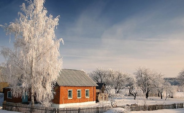 4. Белая береза...