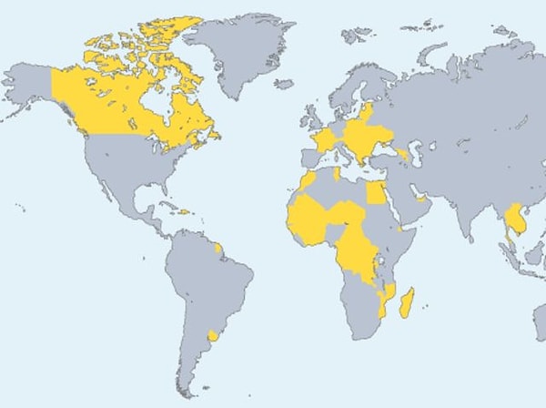8. Попробуйте догадаться, какие страны выделены на карте желтым.