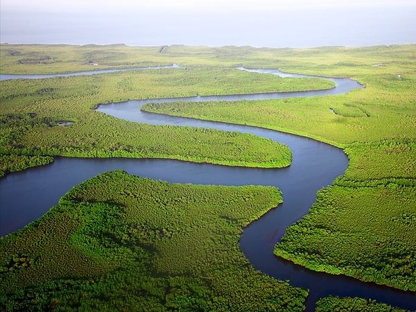 10. А самую длинную реку в мире знаете?