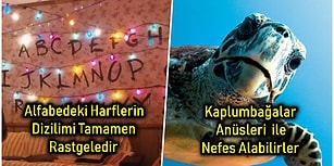 Sıradan Bir Konuşmada Araya Sıkıştırdığınız Zaman Havanıza Hava Katacak Kısa Ama Bir O Kadar da Eğlenceli 17 Bilgi