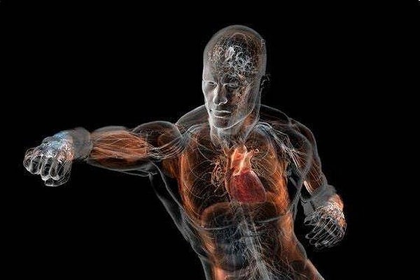 10. Жизнь человека возможна лишь при температуре тела 34-43°C.