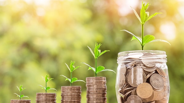 10. Самый лучший способ разбогатеть - это...