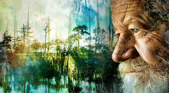 Тест: Проанализировав ответы на 20 вопросов, мы назовем ваш ментальный возраст