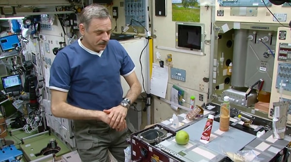 22. Поляна накрыта 🚀