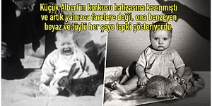 Bilim Adına Çok Önemli Bir Adım Atılmış Olsa da Karşılığında Bir Bebeğin Hayatını Karartan Küçük Albert Deneyi