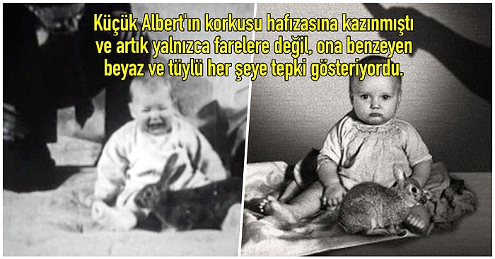 Bilim Adına Çok Önemli Bir Adım Atılmış Olsa da Karşılığında Bir Bebeğin Hayatını Karartan Küçük Albert Deneyi