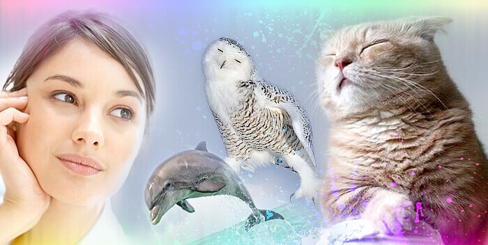 Тест: Каким животным вы будете в следующей жизни?