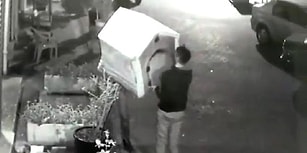 Köpeği Uyandırıp Kulübesini Çalan Vicdansızlar!