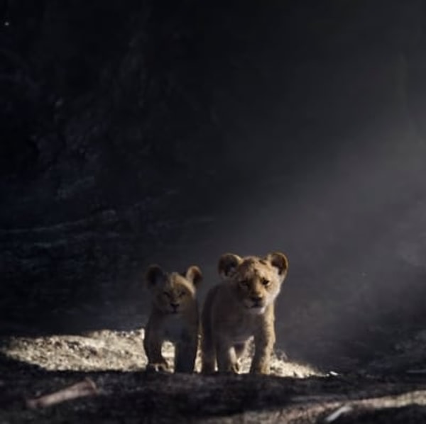 3. А на этом кадре вы можете видеть Симбу и Налу, отправившихся на Слоновье кладбище