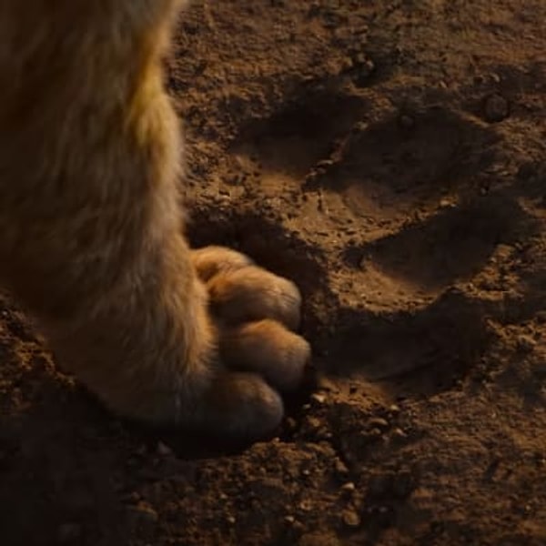 6. В следующей сцене создатели картины повторяют метафорический момент, в котором Симба случайно наступает на след своего отца