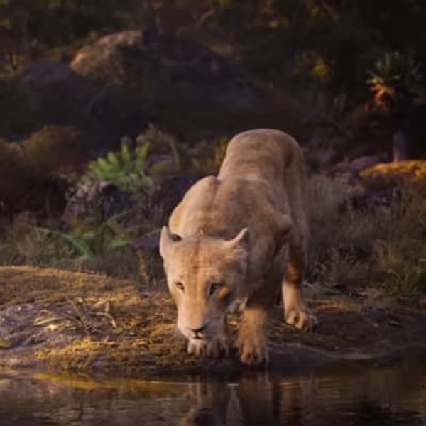 12. Ну думаем, все помнят эту сцену у водопадов :)