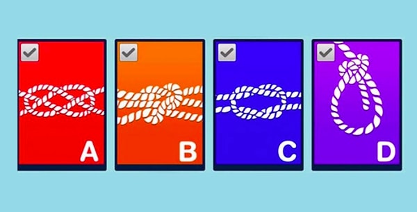 Какой из четырёх узлов вы выбираете?