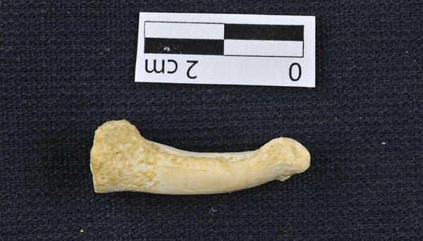 Filipinler'de Callao Mağarası'nda yapılan çalışmalar sonucunda 13 kemik ve diş kalıntısına ulaşıldı ve bunlar daha önce karşılaştıklarımızdan hayli farklı.