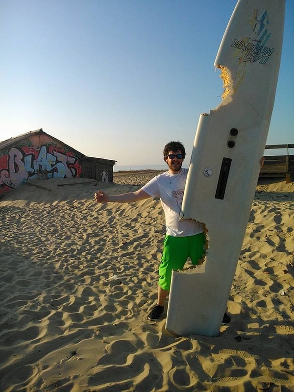 19. "Мы нашли эту доску на берегу. На ней видны следы укусов"