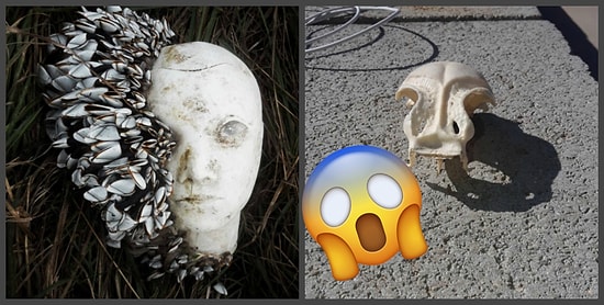 Самые странные и удивительные вещи, найденные на пляжах