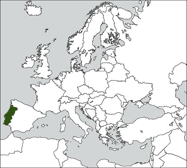 38. Yeşil renk ile belirtilen ülke aşağıdakilerden hangisidir?