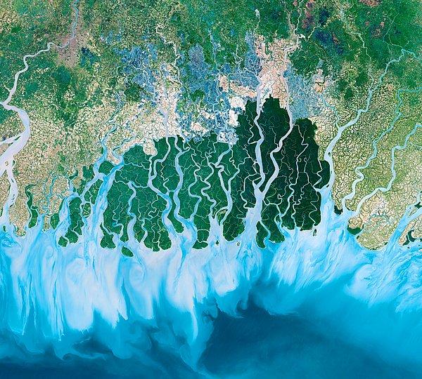3. Hindistan ve Bangladeş'e yayılan ve dünyanın en büyük deltası olan Sundarbans, Bengal Körfezi'nde yer alıyor.