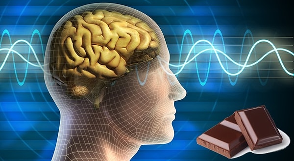 14. Запах шоколада повышает активность тета-волн мозга человека, в результате чего наступает расслабление.