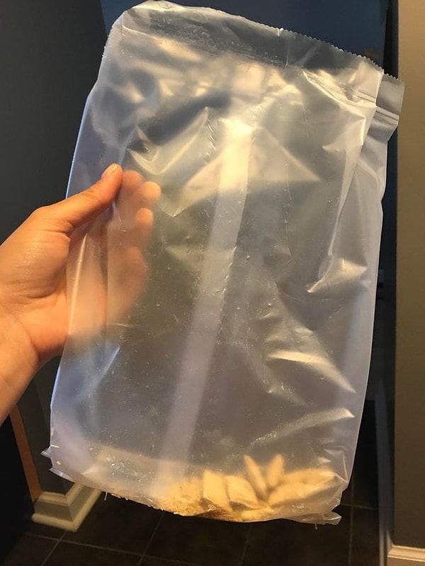 11. Вас такое не бесит?