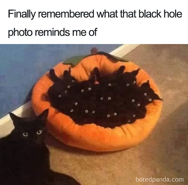 12. "Наконец-то вспомнил, что напоминает мне черная дыра"