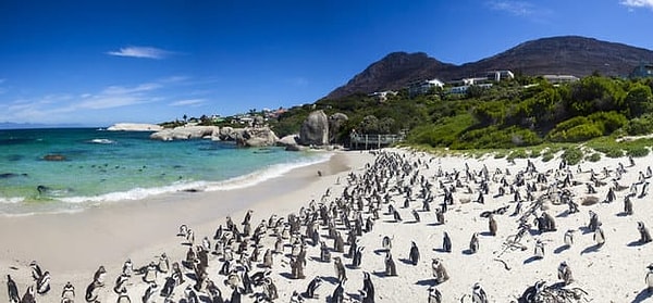 10. В какой точке мира вы найдете этот дивный пляж?