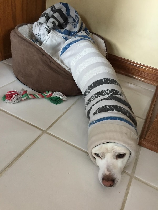 3. Эээ, кажется, ситуация зашла в тупик