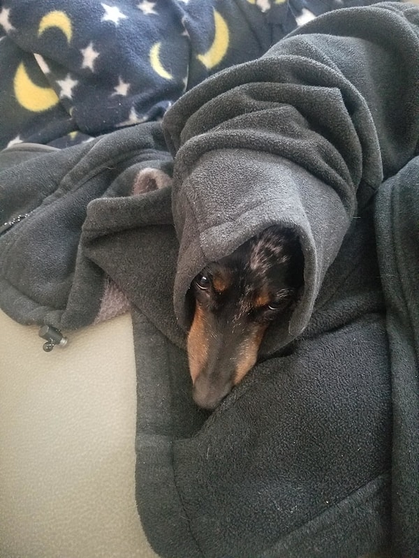 5. Раз уж со мной приключилась такая неприятность, не грех и вздремнуть