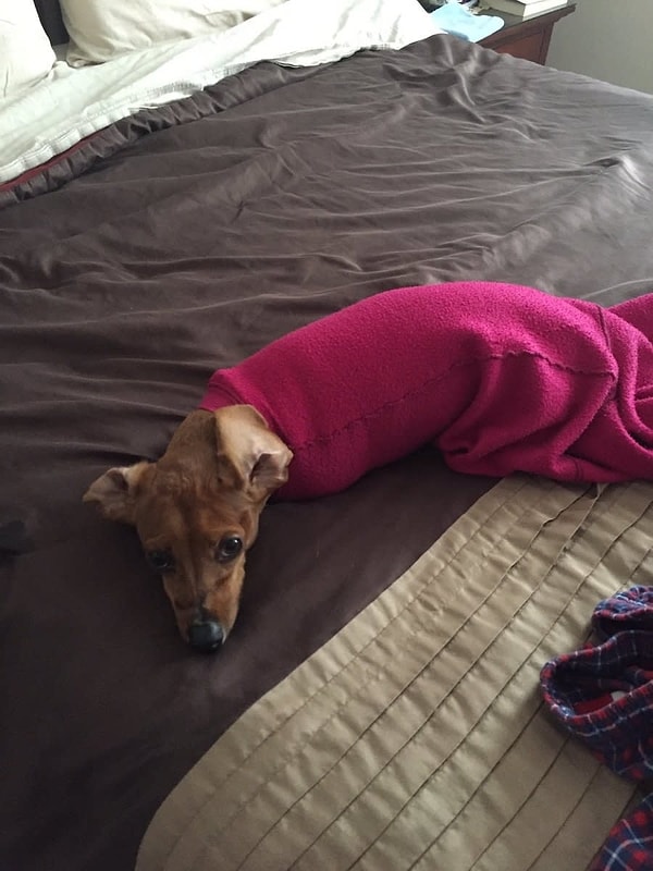 6. Не виноватая я, этот рукав сам на меня налез