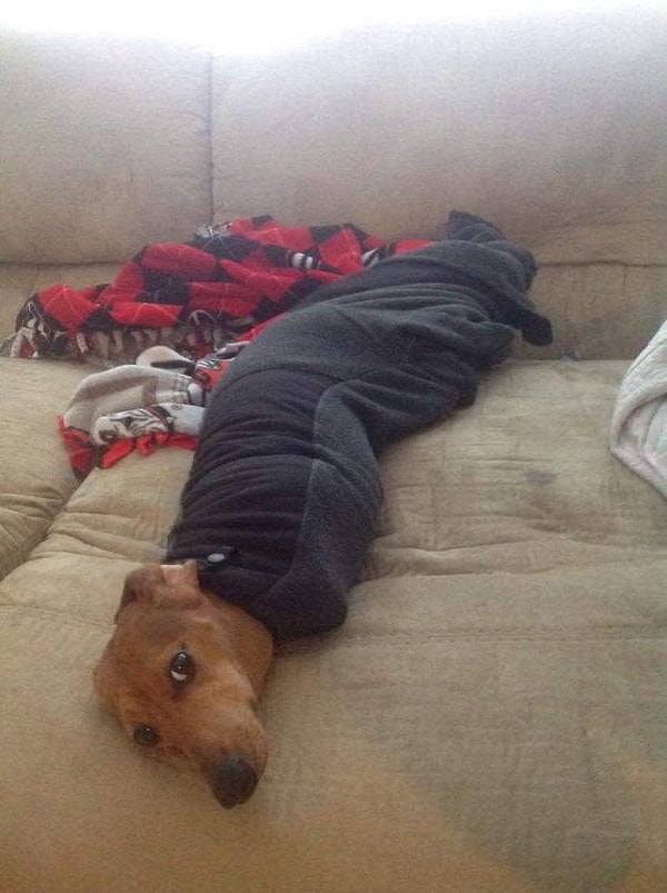 10. Этот малыш выглядит как шаурма