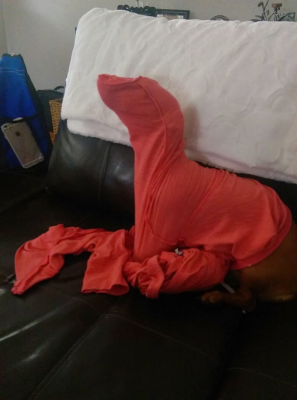 13. Когда потерял дорогу и бредешь наощупь