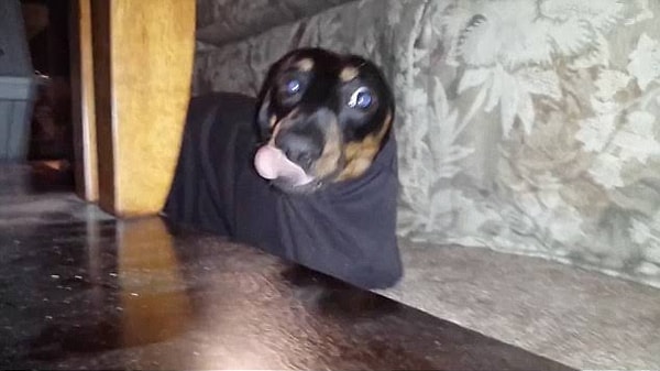 20. Да, оплошал, но всё равно я обаятелен и привлекателен! 🤩