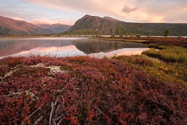 12. Золотая осень