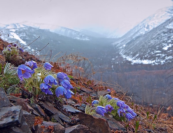13. Трогательная красота