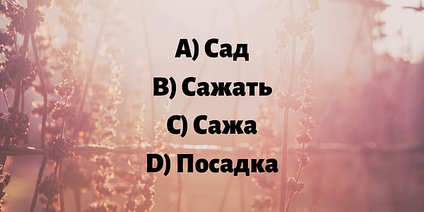 1. Какое слово не является однокоренным?