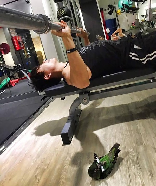 13. Этот попугай выкладывается на все 💯