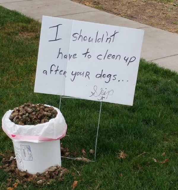 5. «Вообще-то, я не обязан подбирать ка*ашки за твоей собакой, но раз уж на то пошло...».