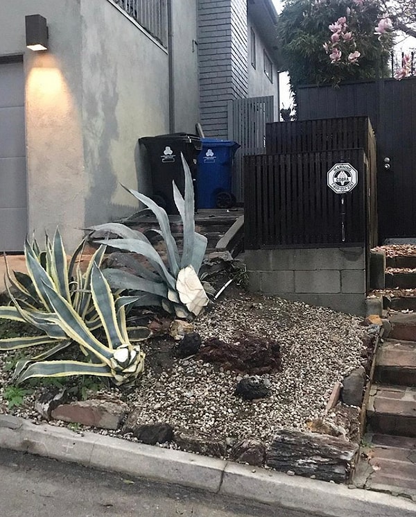 17. Беспардонные соседи, которые просто срезали чей-то кактус, имевший наглость загородить им вид.