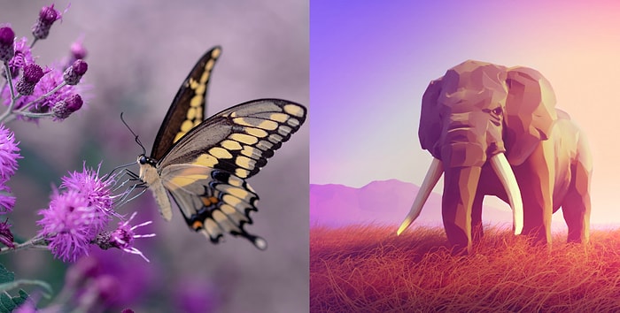 Тест: Вы слоник или бабочка? Позвольте нам угадать ваш вес всего за 7 вопросов