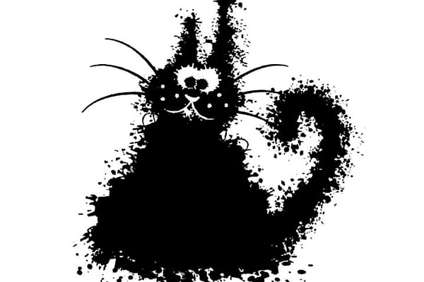 8. И последнее: это кот?