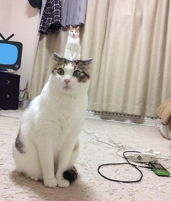 7. "Он все еще там?"