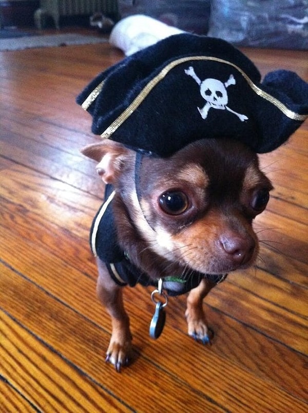 10. Вы видите его ухо?