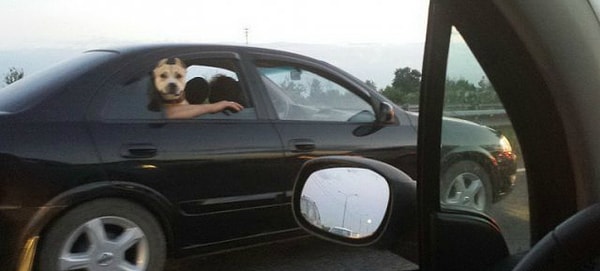 14. "Пс, куда путь держим?"