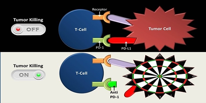 Kemoterapinin Zararlı Etkilerini Bir Kenara Bırakıp Kanserle Savaşabilen Güçlü Bir Yöntem: İmmünoterapi