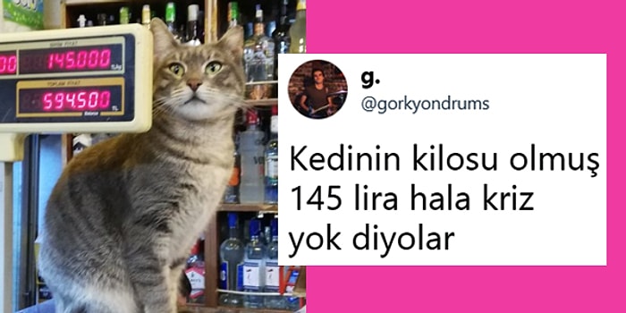 Parasızlığımızı ve Ekonomiyi Mizahla Özetleyerek Ağlanacak Halimize Güldürmüş 17 Kişi