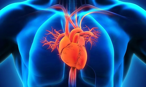 2. А что насчет болезней? Какая из этих проблем со здоровьем уносит больше жизней?