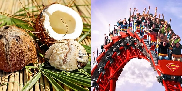 4. Что из этого опаснее для человеческой жизни?