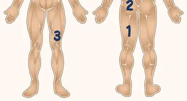 12. И, наконец, где двуглавая мышца бедра?
